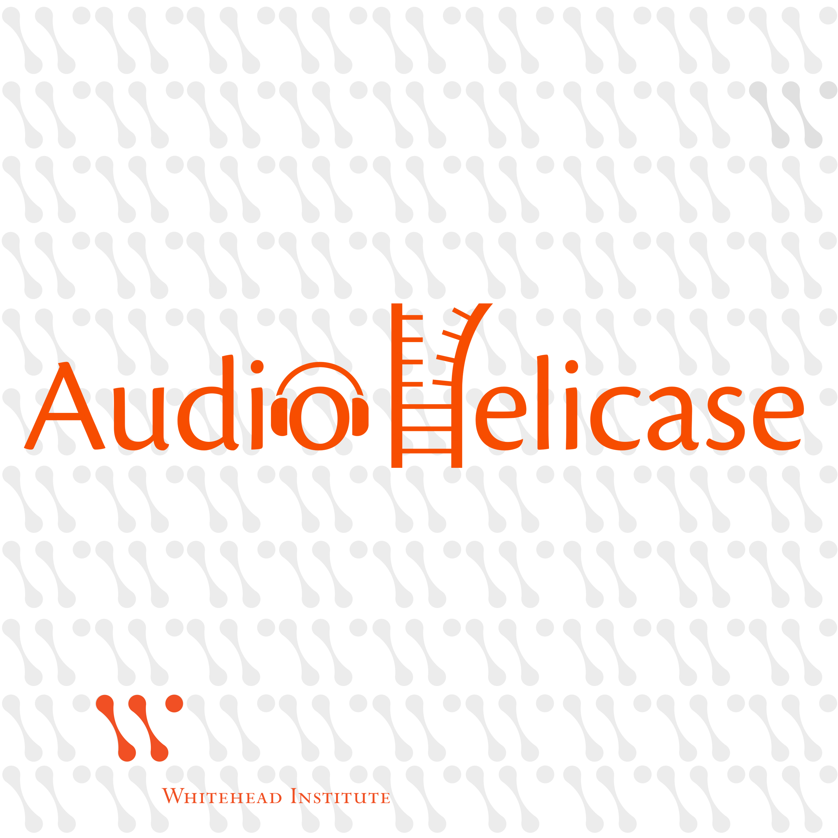AudioHelicase